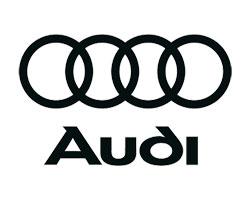 AUDI 4F0839461B - ELEVALUNAS