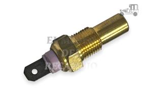 Termorresistencia Ford Recambio
