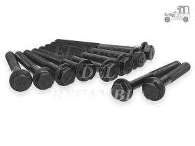 Juego 10 tornillos de culata Citroën, Fiat, Peugeot, etc Recambio