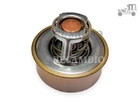 Termostato Citroen Peugeot Recambio