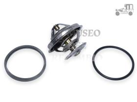 Termostato Iveco-Mercedes Recambio