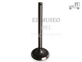 Válvula admisión de 1 ranura Citroën Recambio