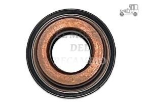 Retén selector velocidades Renault Recambio
