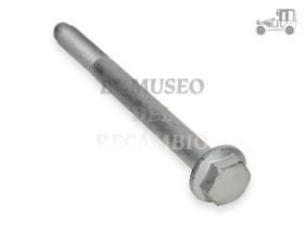 Tornillo 10 mm largo total 120 mm .