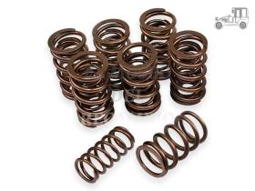 Kit 8 muelles valvula doble extra sport 8/60 VW Recambio