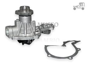 Bomba de agua Volkswagen Recambio