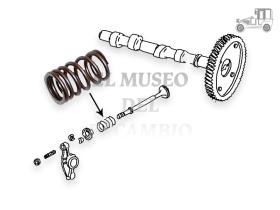 Muelle valvula Volkswagen 8/60-12/77 Recambio