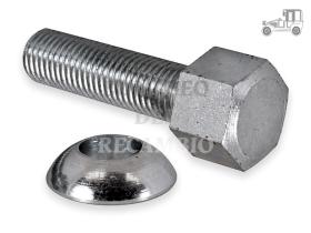 Tornillo cromo redondo Volkswagen Recambio