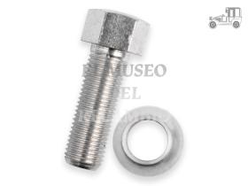 Tornillo cromo redondo Volkswagen Recambio