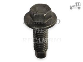 Tornillo Recambio