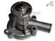 Bomba de agua Austin-Rover Recambio