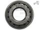 Rodamiento caja de dirección 15x35x10.7 Seat 600 Rodamientos