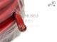 Cable de arranque rojo de 25 ACCESORIOS